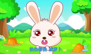 小兔子拔萝卜儿歌小白兔的故事 小白兔拔萝卜